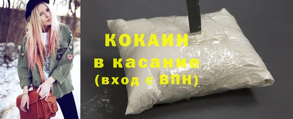 ПСИЛОЦИБИНОВЫЕ ГРИБЫ Арсеньев