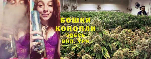 ПСИЛОЦИБИНОВЫЕ ГРИБЫ Арсеньев