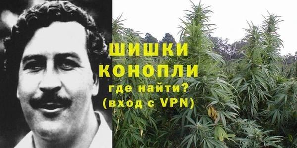 ПСИЛОЦИБИНОВЫЕ ГРИБЫ Арсеньев
