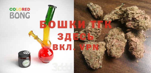 ПСИЛОЦИБИНОВЫЕ ГРИБЫ Арсеньев