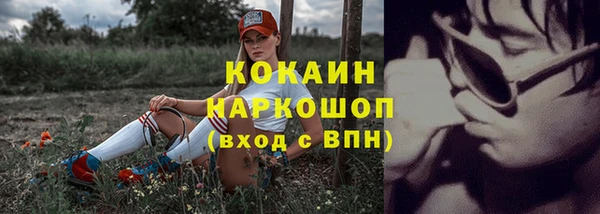 ПСИЛОЦИБИНОВЫЕ ГРИБЫ Арсеньев