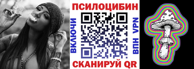 где можно купить наркотик  Шацк  Псилоцибиновые грибы прущие грибы 